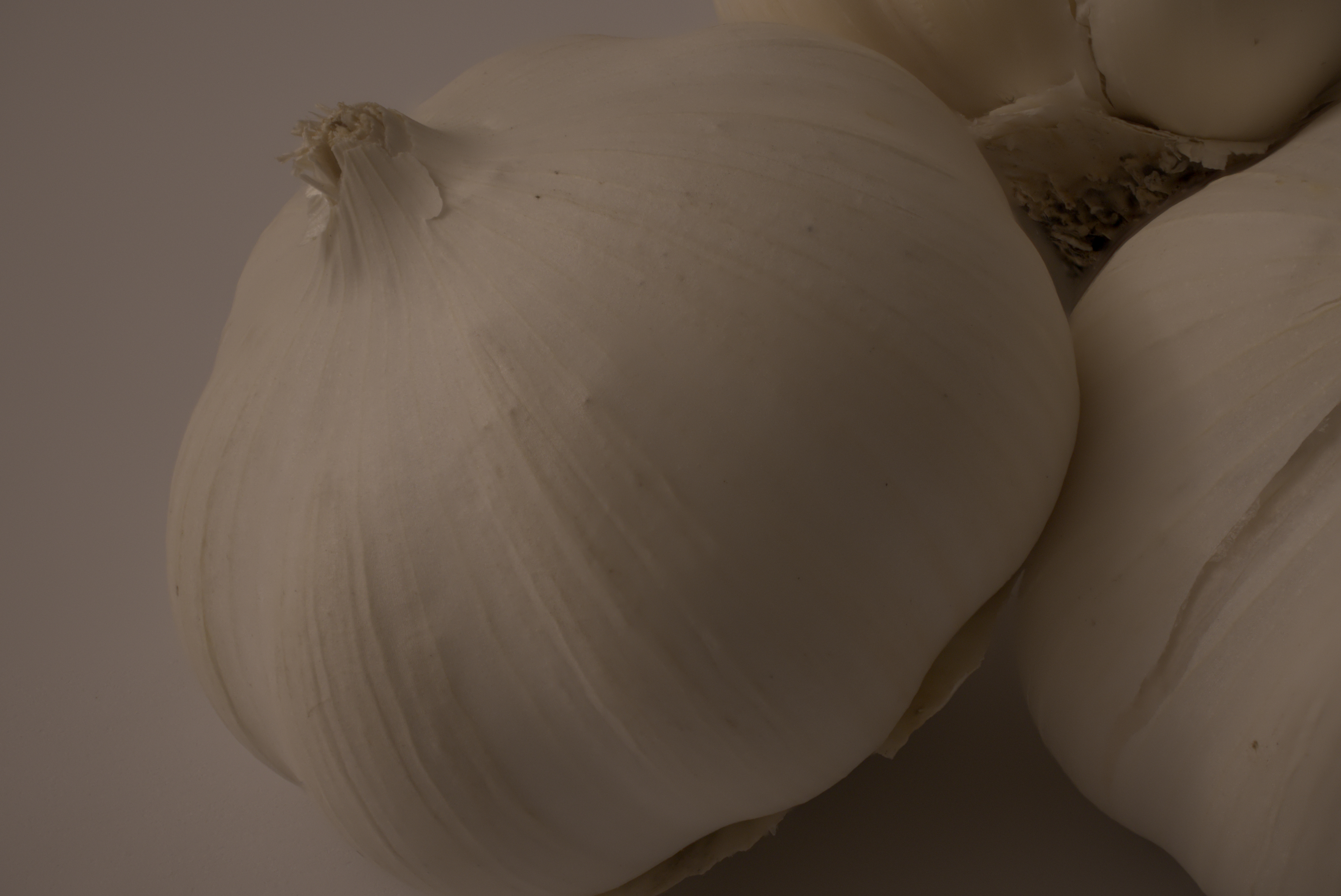 Garlic bulbs, 25 images