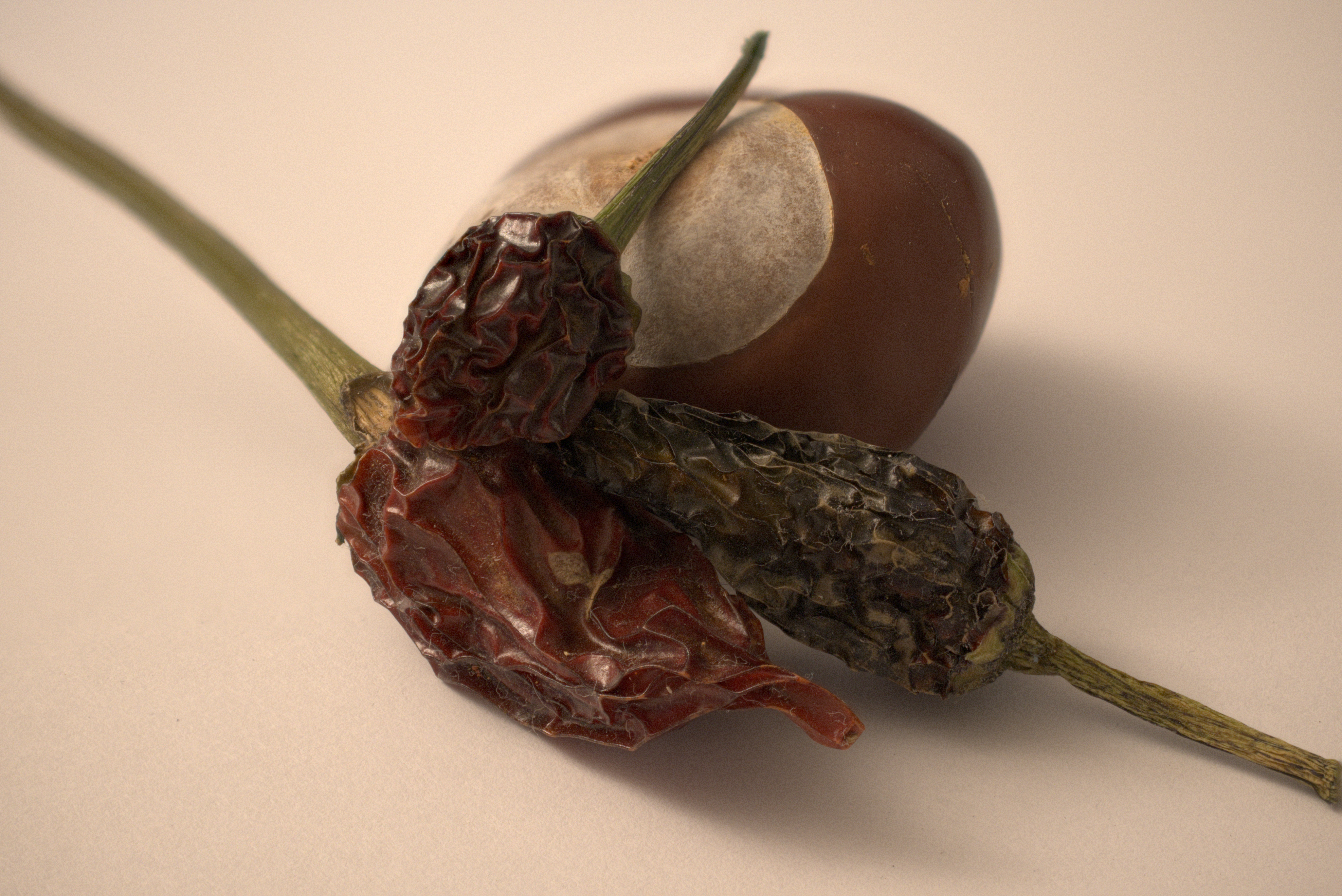 Peppers And A Nut, 30 images